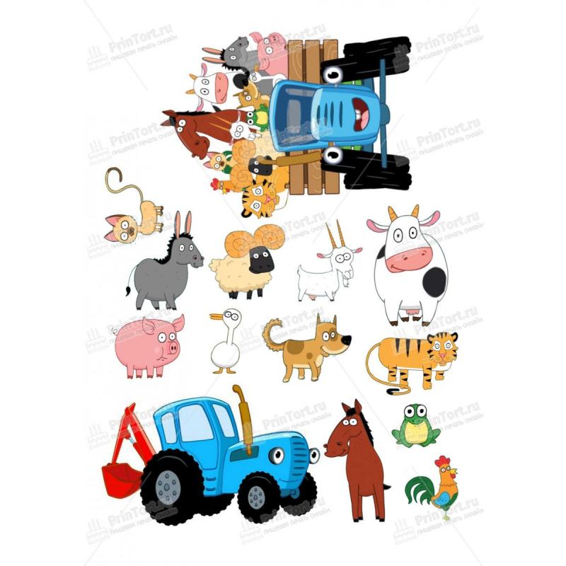 Разукрашки котята и медвежата