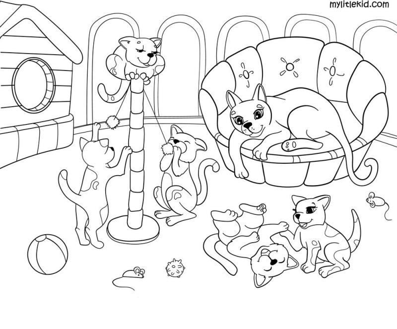 Котэ и Волшебный гараж