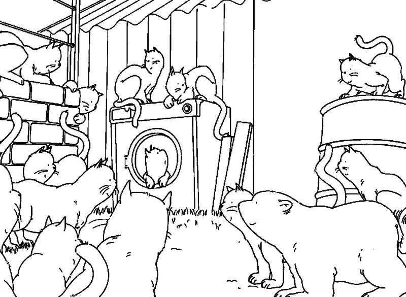 Раскраски коты