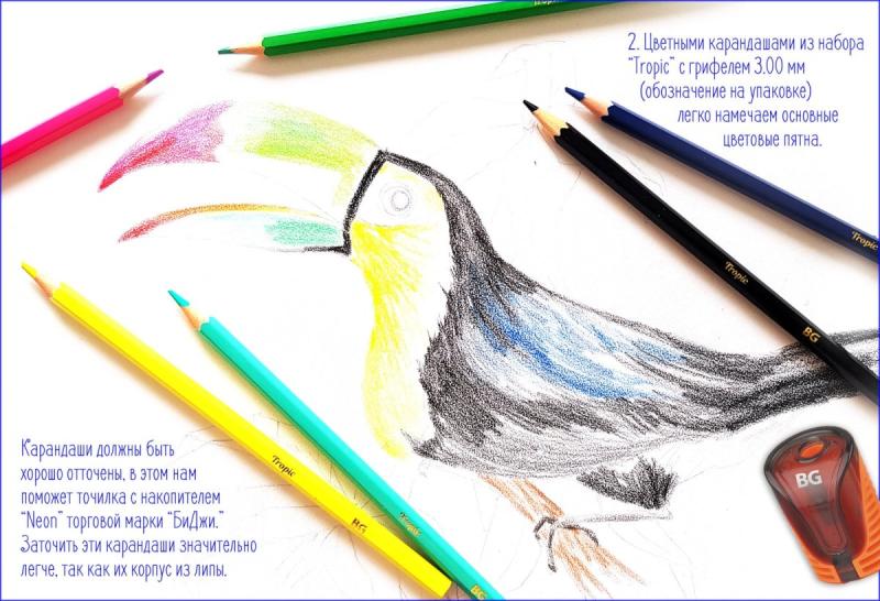 Рисунки цветными карандашами