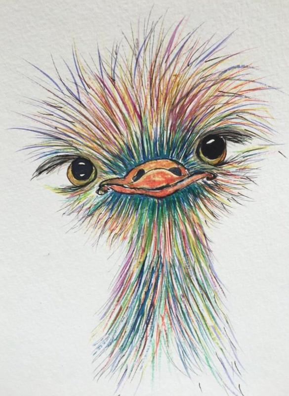 Рисунки цветные