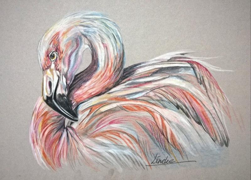 Рисунки цветными карандашами