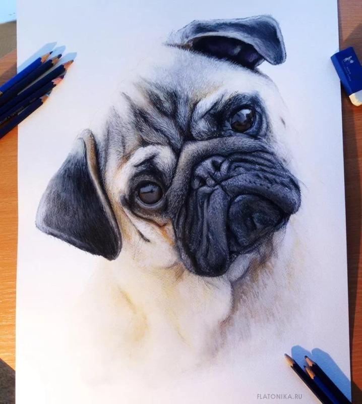 Рисунки цветными карандашами