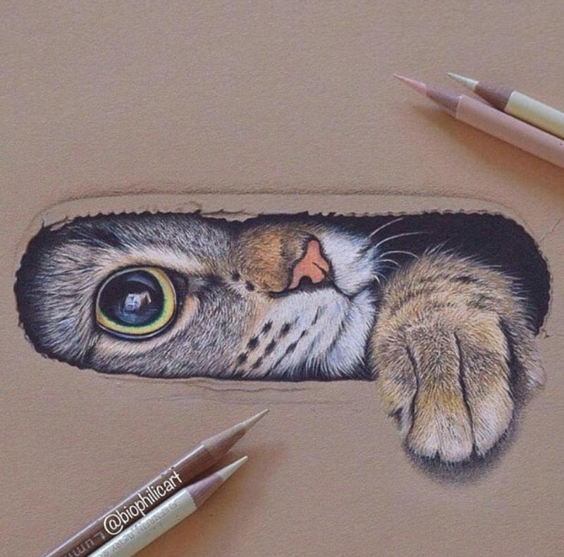 Креативные идеи для рисования