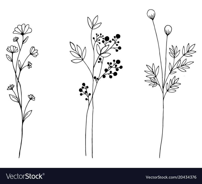 Зарисовка веточка растения