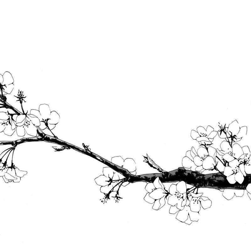 Рисунок Сакура сбоку