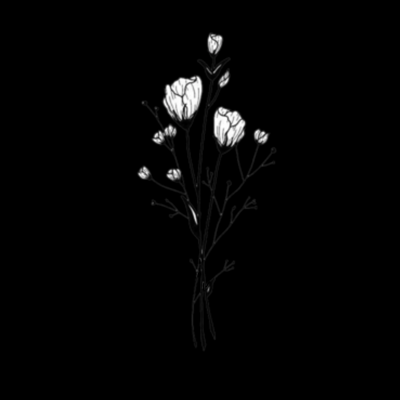 Веточка черно белая