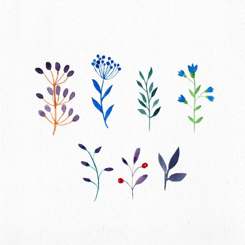 Акварельные веточки с цветочками