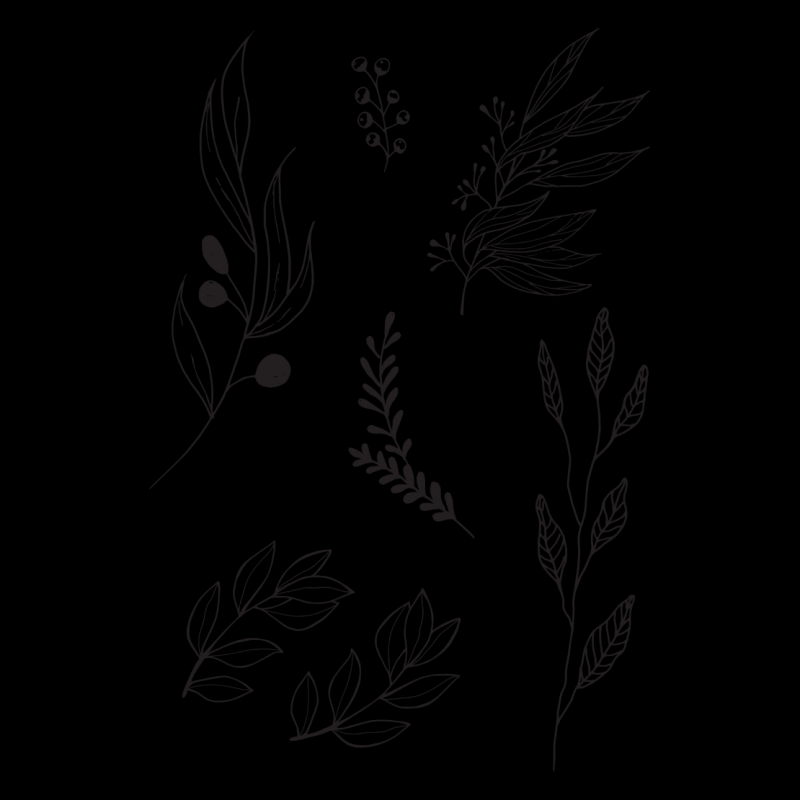 Эскиз ветки с листьями