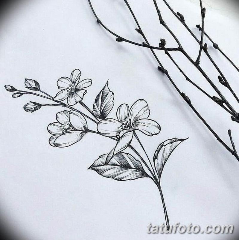 Веточка эскиз