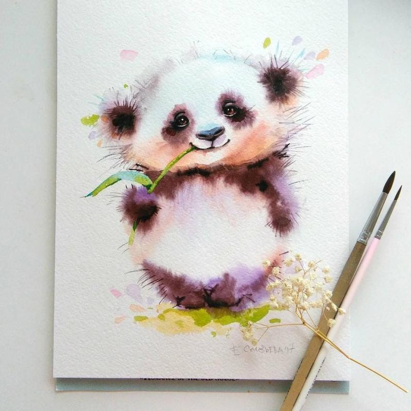 Красная Панда