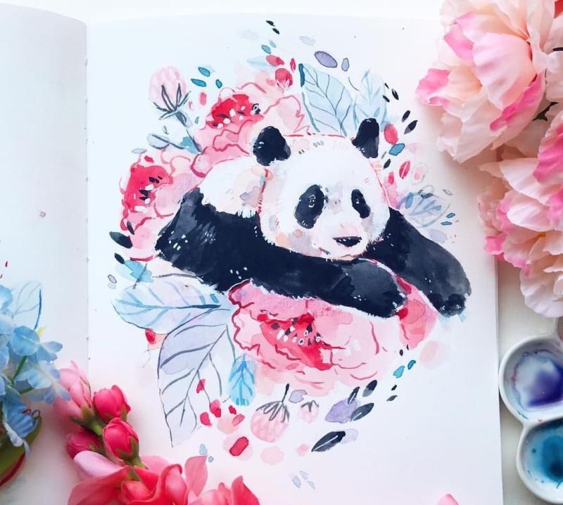 Енот разноцветный