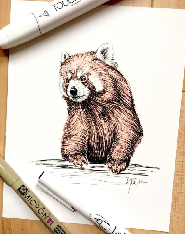 Рисунок для 5 плюс малая Панда раскрашивать цветными карандашами