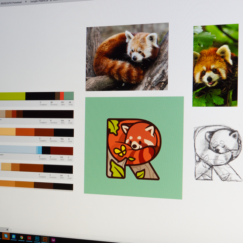 Красная Панда рисунок карандашом