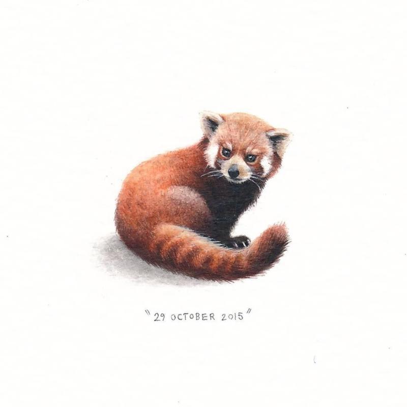 Панда рисунок карандашом