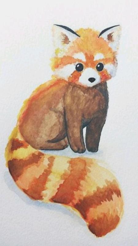 Энди Панда рисунок карандашом