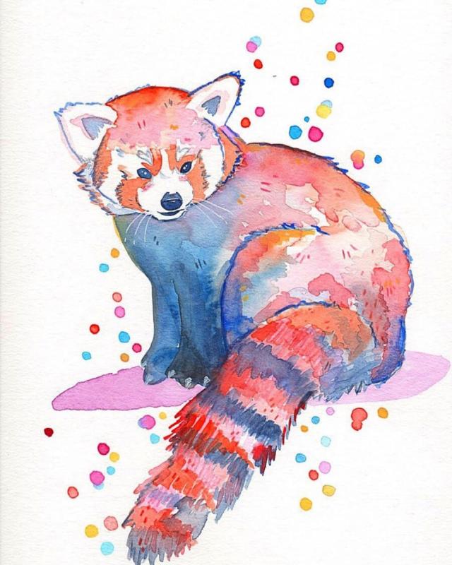 Красная Панда рисунок карандашом для срисовки