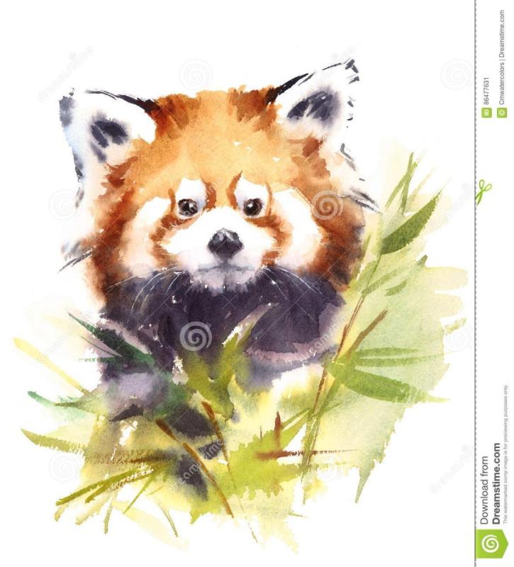 Панда эскиз