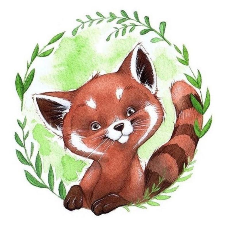 Красная Панда паттерн