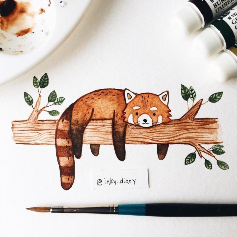 Панда рисунок акварелью