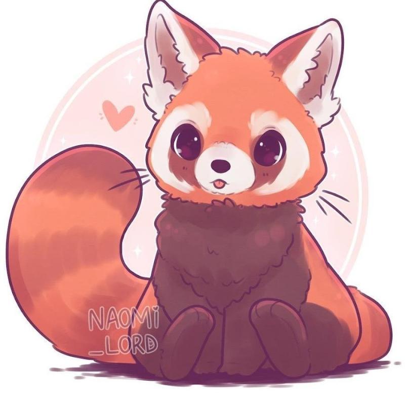 Рисунки детские рисунки красной панды