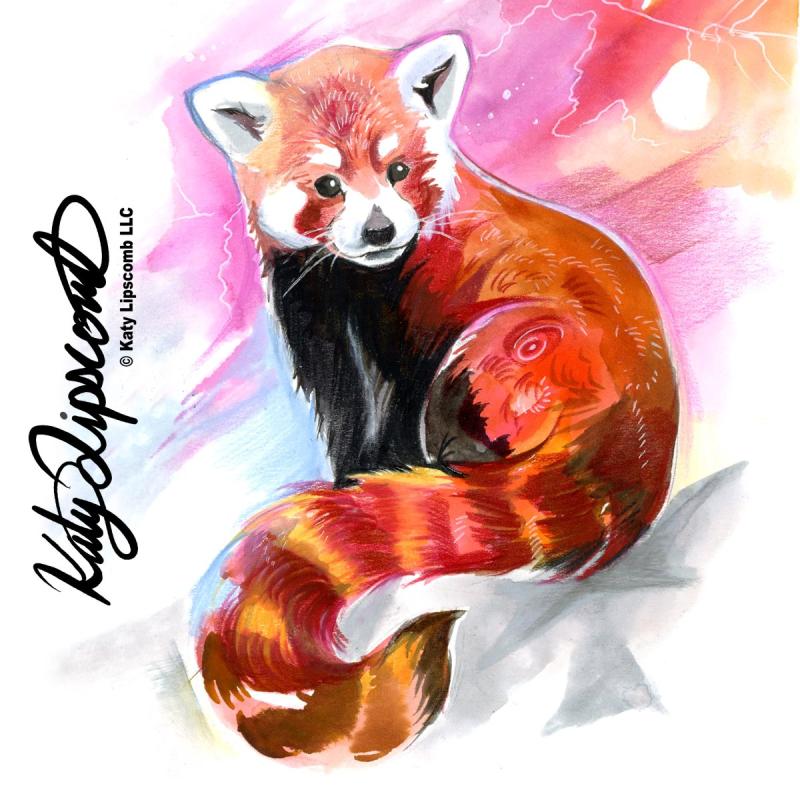 Красная панда рисунок карандашом74