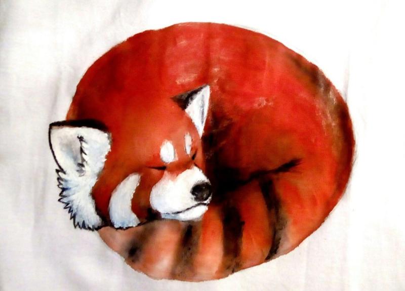 Акварельная рисование малой панды