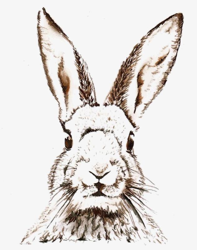 Раскраски с Бингом