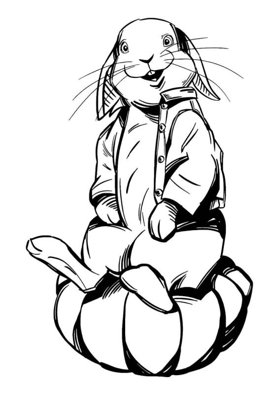 Кролик бонза раскраска72