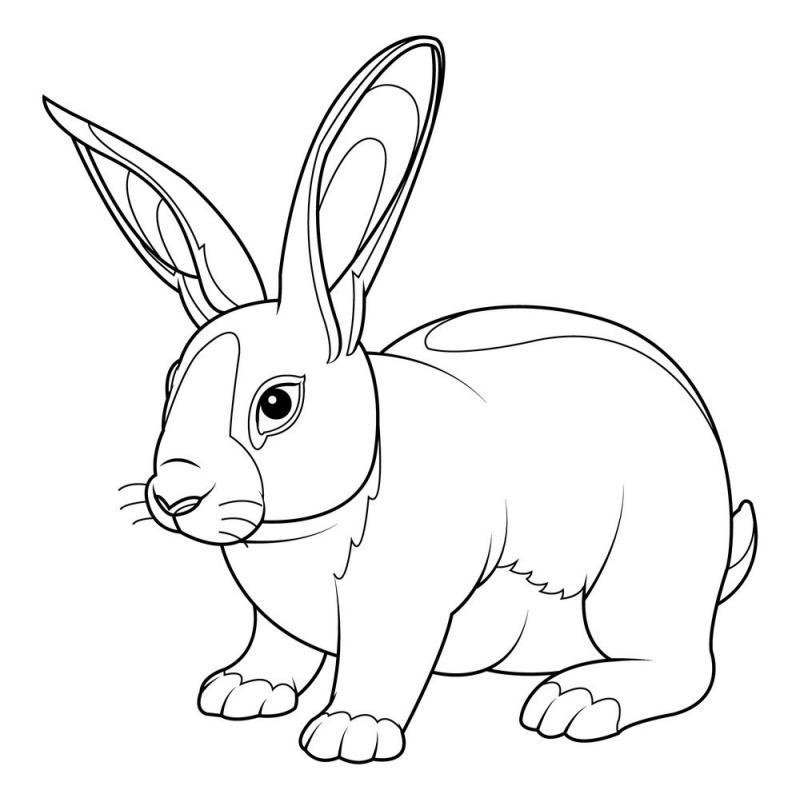 Лола Банни черно белая