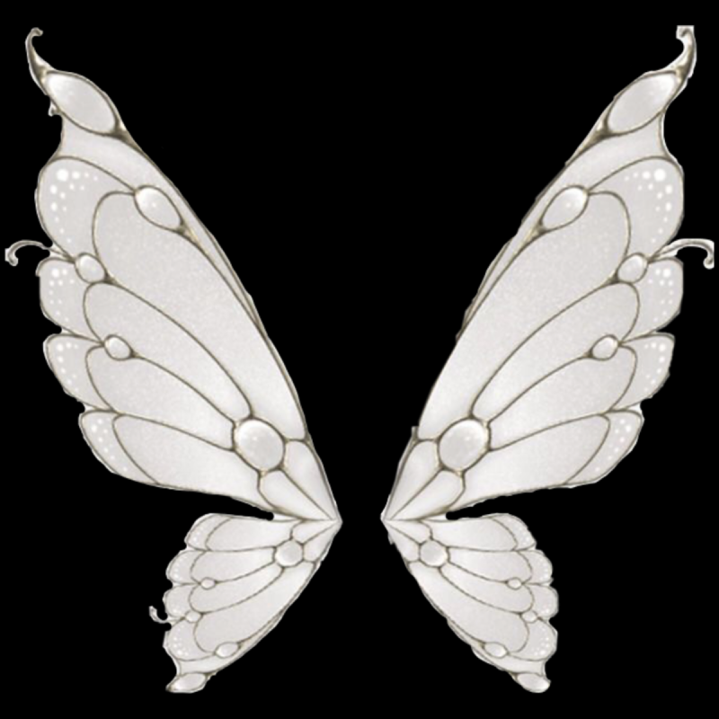 Крылья феи прозрачные