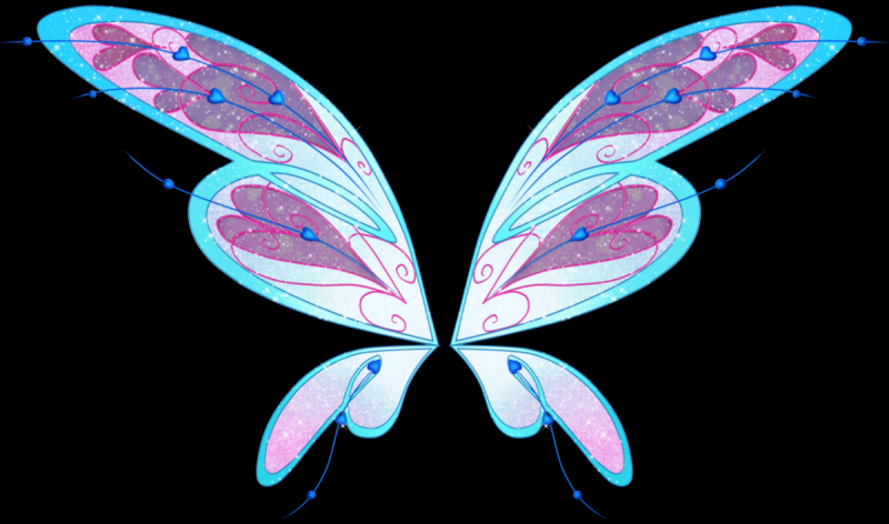Крылья Блум Беливикс