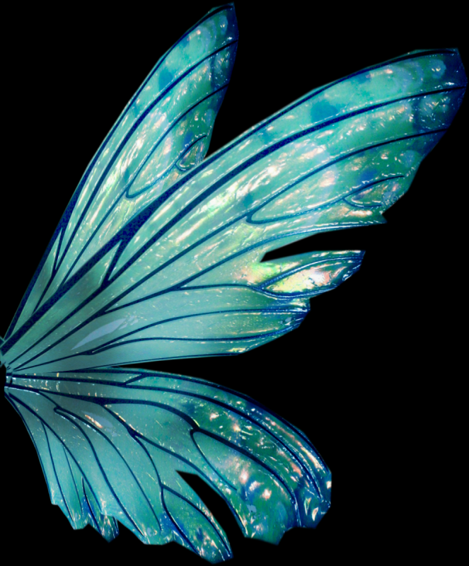 Крылья бабочки