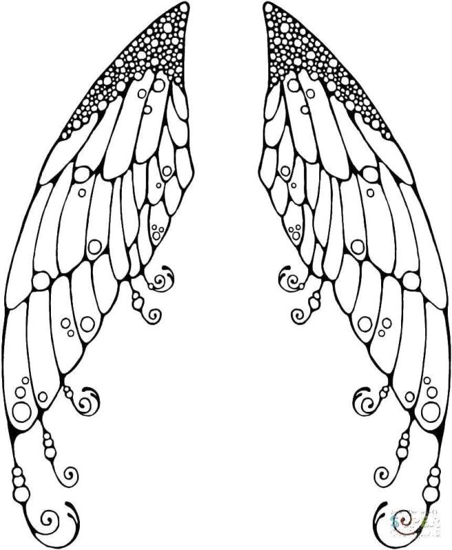 Крылья бабочки раскраска