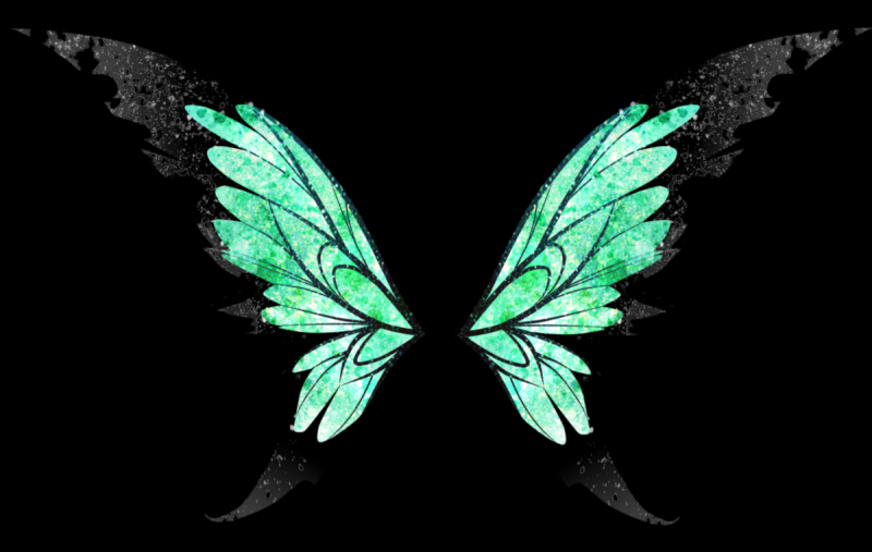 Крылья феи черные