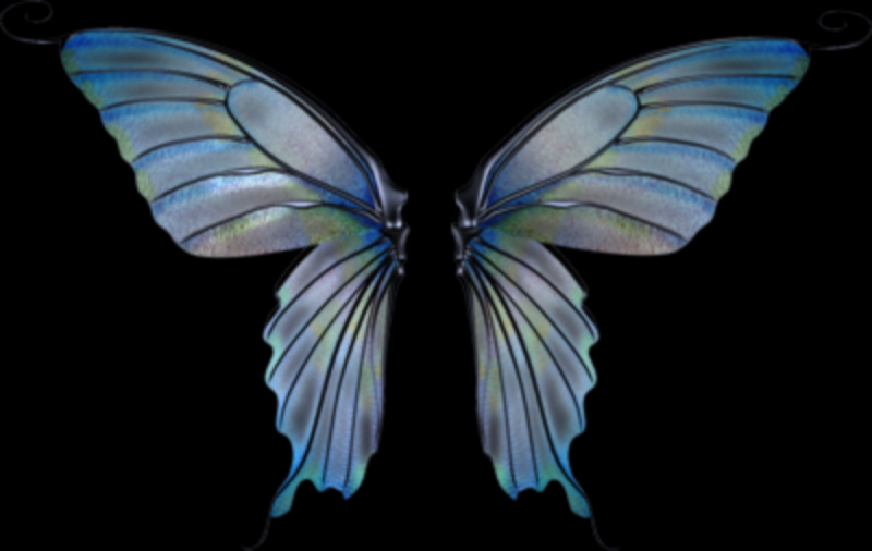 Прозрачные Крылья