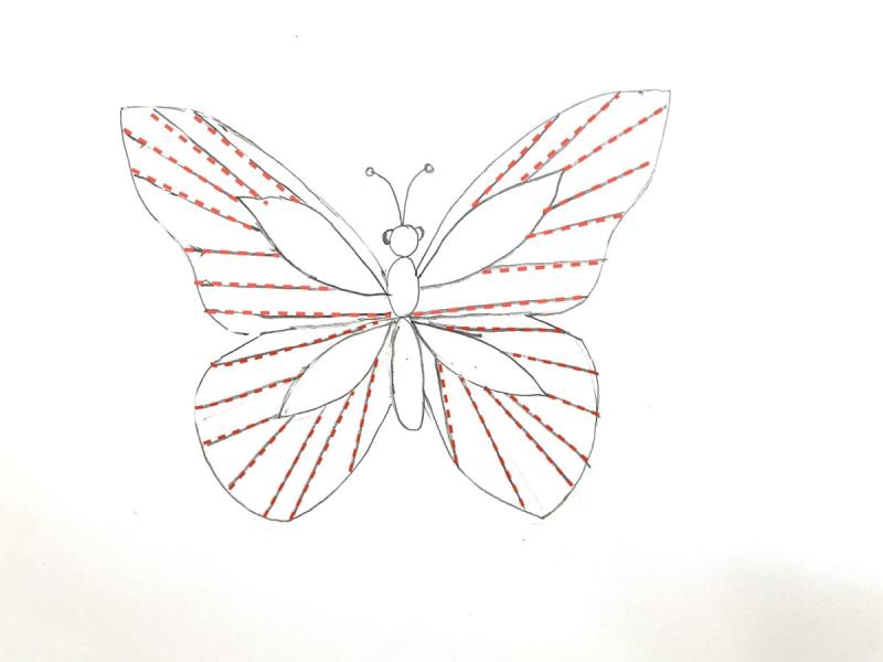 Легкий рисунок бабочки76