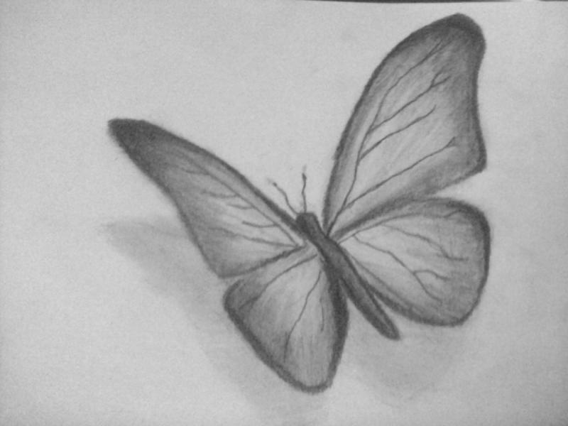Картинки бабочек для срисовки