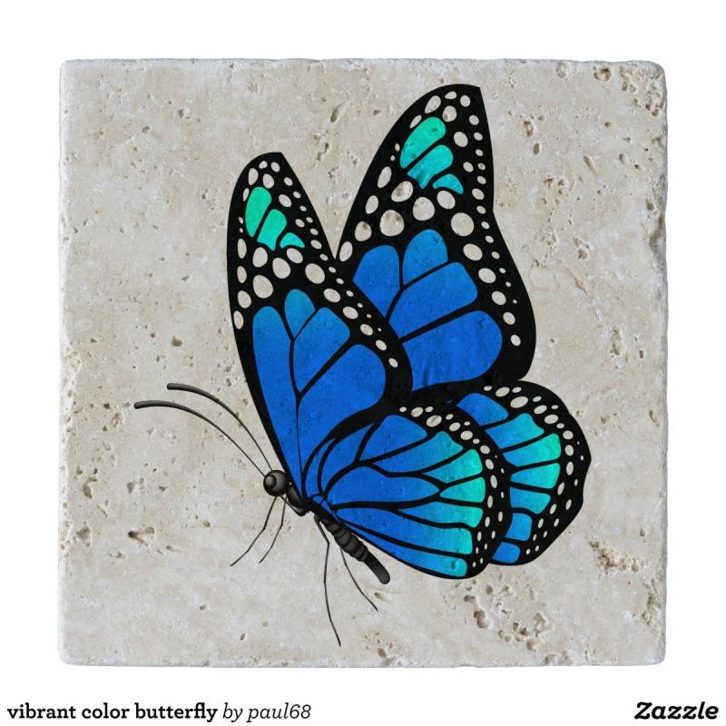 Бабочка рисунок карандашом