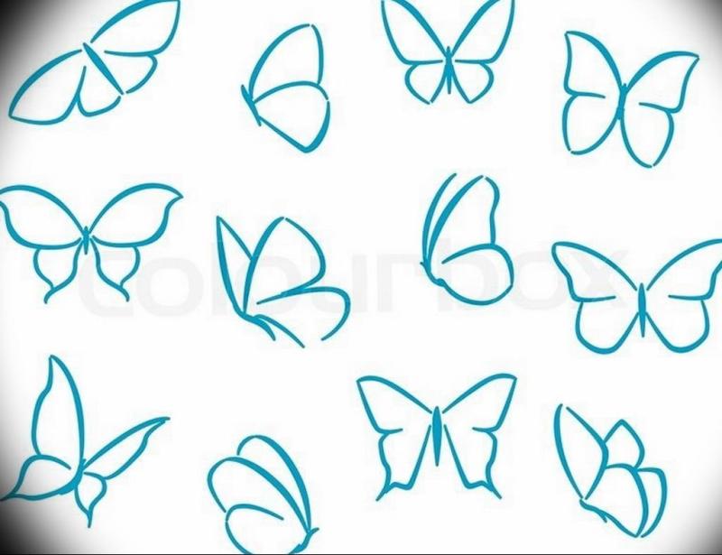 Рисунок бабочки карандашом для срисовки легкие