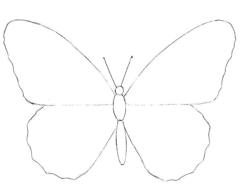 Нарисовать бабочку