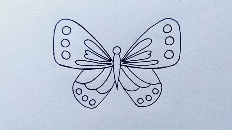 Бабочка рисунок простой цветной