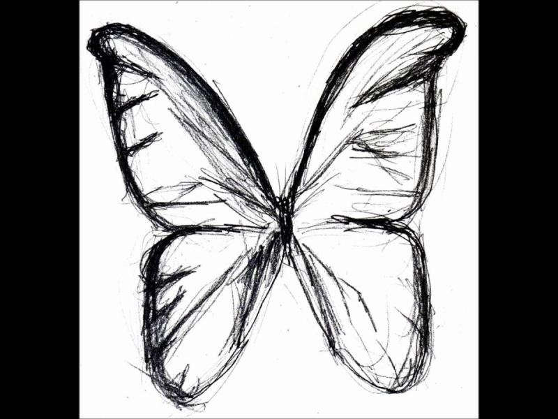 Рисование бабочки поэтапно
