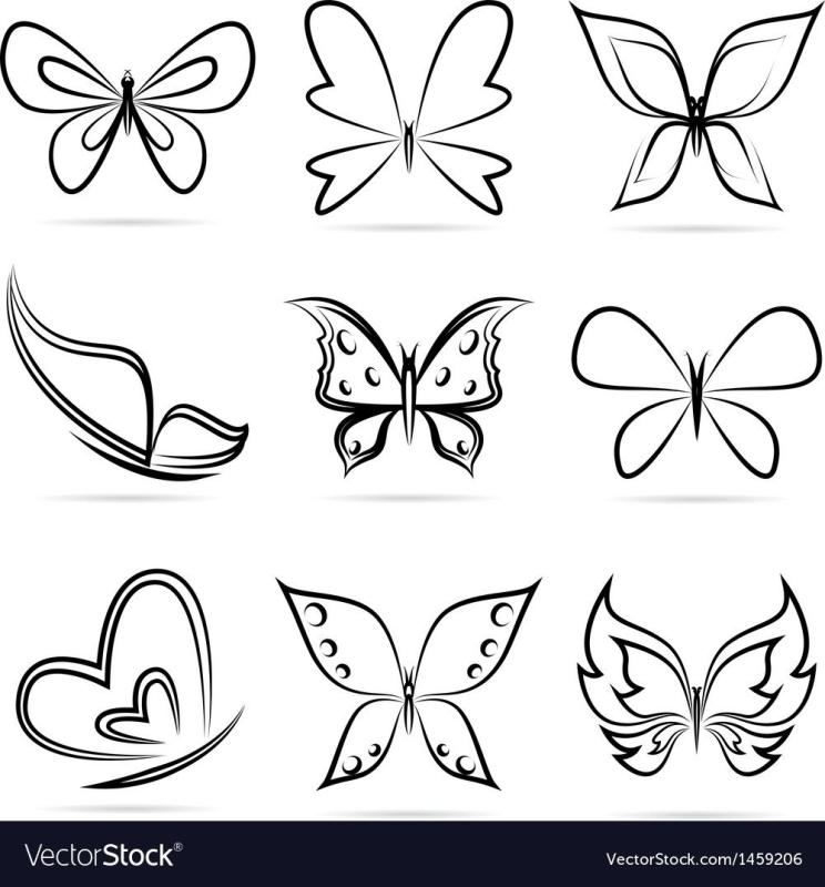 Эскиз бабочки для рисования