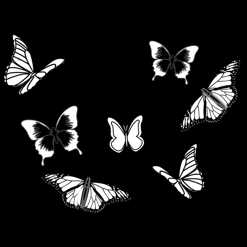 Бабочки рисунки карандашом простые