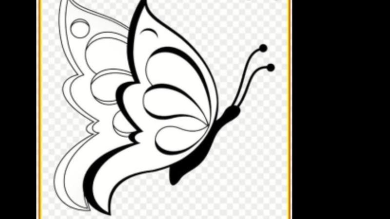 Нарисовать бабочку карандашом трафарет