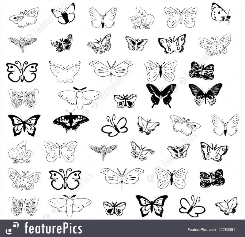 Бабочка карандашом