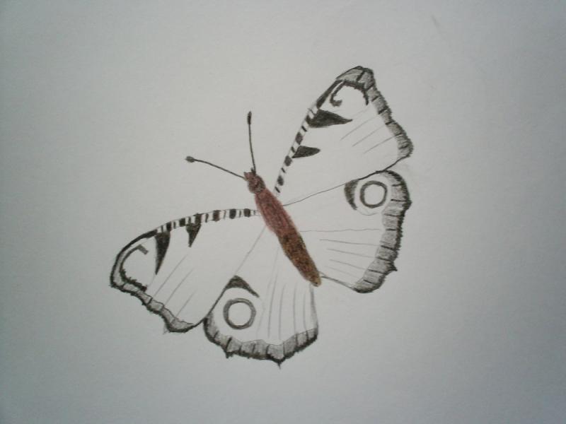 Очень простые рисунки