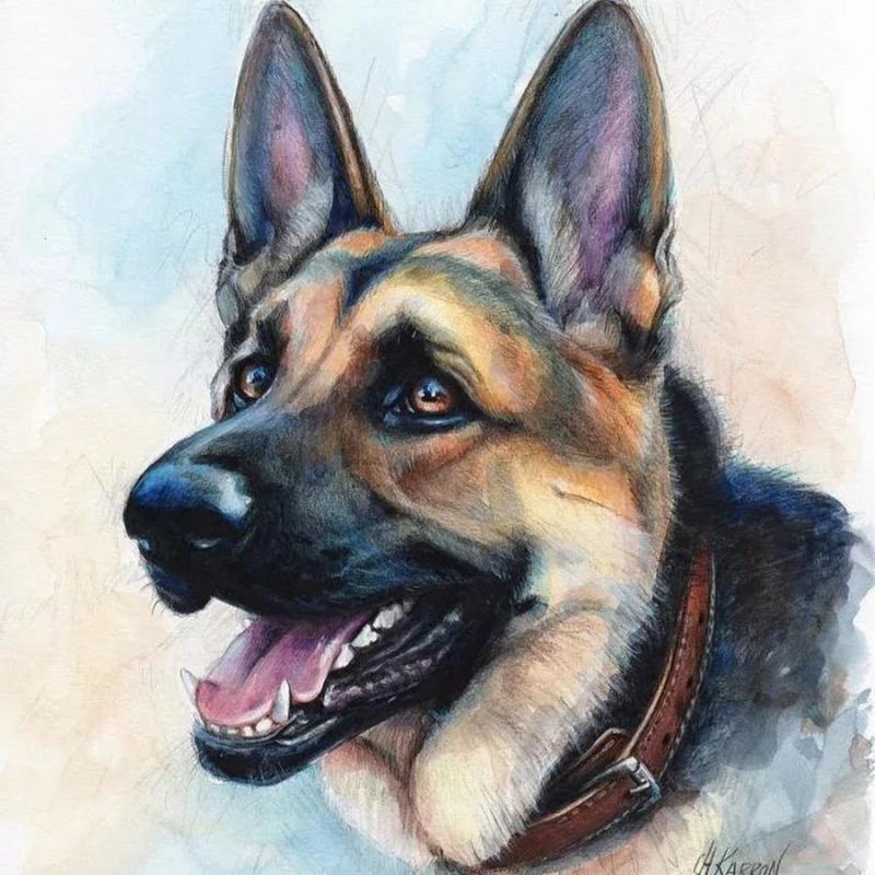 ВЕО овчарка