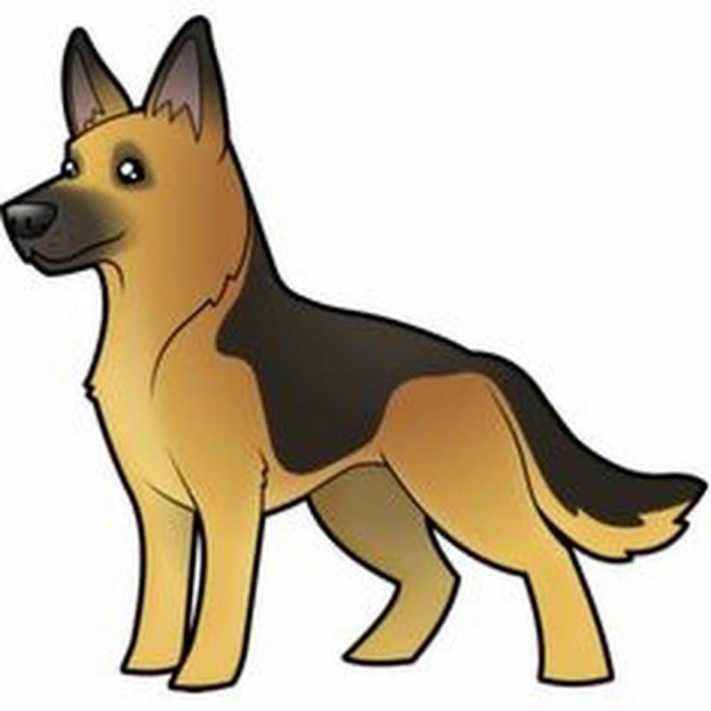 Немецкая овчарка нарис